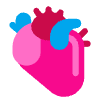 Anatomical Heart Flat Emoji from Fluent Emoji Flat Set | Free Download as SVG Vector and Transparent PNG | Streamline emojis