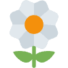 Blossom Element from Twemoji Emoji Set
