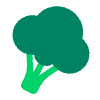 Broccoli Flat Element from Fluent Emoji Flat Set