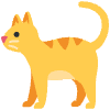Cat Element from Twemoji Emoji Set