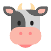 Cow Face Flat Emoji from Fluent Emoji Flat Set | Free Download as SVG Vector and Transparent PNG | Streamline emojis