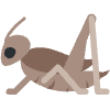 Cricket Element from Twemoji Emoji Set