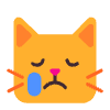 Crying Cat Flat Element from Fluent Emoji Flat Set