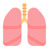 Lungs Flat Emoji from Fluent Emoji Flat Set | Free Download as SVG Vector and Transparent PNG | Streamline emojis