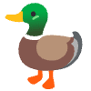 Duck Element from Noto Emojis Set