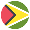 Flag Guyana Element from EmojiTwo Colors Set
