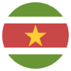 Flag Suriname Element from EmojiTwo Colors Set