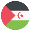 Flag Western Sahara Element from EmojiTwo Colors Set
