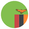 Flag Zambia Element from EmojiTwo Colors Set