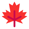 Maple Leaf Flat Element from Fluent Emoji Flat Set