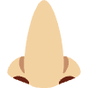 Nose Medium Light Skin Tone Element from Twemoji Emoji Set