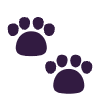 Paw Prints Flat Element from Fluent Emoji Flat Set