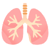 Lungs Element from Noto Emojis Set