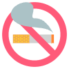 No Smoking Element from EmojiTwo Colors Set