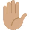 Raised Hand Medium Skin Tone Element from Twemoji Emoji Set