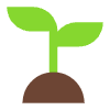 Seedling Flat Element from Fluent Emoji Flat Set