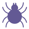 Spider Flat Element from Fluent Emoji Flat Set