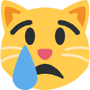 Crying Cat Element from Twemoji Emoji Set