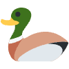 Duck Element from Twemoji Emoji Set