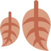 Fallen Leaf Element from Twemoji Emoji Set