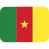 Flag Cameroon Element from Twemoji Emoji Set