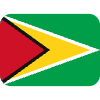 Flag Guyana Element from Twemoji Emoji Set