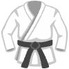 Martial Arts Uniform Element from Noto Emojis Set