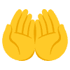 Palms Up Together Element from Noto Emojis Set