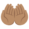Palms Up Together Medium Skin Tone Element from Noto Emojis Set
