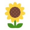 Sunflower Flat Element from Fluent Emoji Flat Set