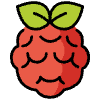 Raspberry Pi Element from OpenMoji Emoji Set