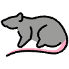 Rat Element from OpenMoji Emoji Set