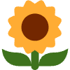 Sunflower Element from Twemoji Emoji Set