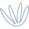 Shape Flower Nature Sharp Element from Organic Shapes Set