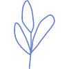 Shape Leaves Nature 1 Element from Organic Shapes Set