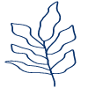Shape Leaves Nature Dry element - Free transparent PNG, SVG. No Sign up needed.