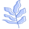 Shape Leaves Nature Dry Element from Organic Shapes Set
