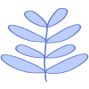 Shape Leaves Nature Element from Organic Shapes Set