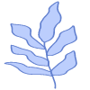 Shape Leaves Nature Dry Element from Organic Shapes Set