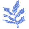 Shape Leaves Nature Dry Element from Organic Shapes Set