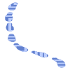 Shape Line Dash 1 Element from Organic Shapes Set