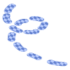 Shape Line Dash 3 Element from Organic Shapes Set