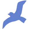 Shape Bird Nature Element from Organic Shapes Set