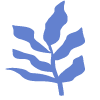 Shape Leaves Nature Dry Element from Organic Shapes Set