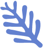 Shape Leaves Nature Fan Element from Organic Shapes Set