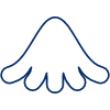 Flower Bell Nature element - Free transparent PNG, SVG. No Sign up needed.
