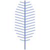 Leaves Pine element - Free transparent PNG, SVG. No sign up needed.