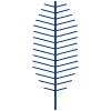 Leaves Pine element - Free transparent PNG, SVG. No Sign up needed.