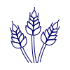 Wheat illustration - Free transparent PNG, SVG. No sign up needed.