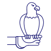 Eagle Gauntlet 1 Illustration from UX Line Set